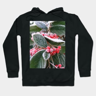 Frost Berries: close-up photo of red berries and green leaves with white frost Hoodie